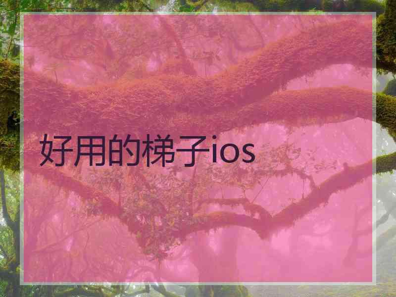 好用的梯子ios