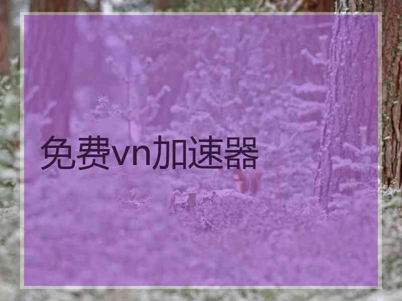 免费vn加速器