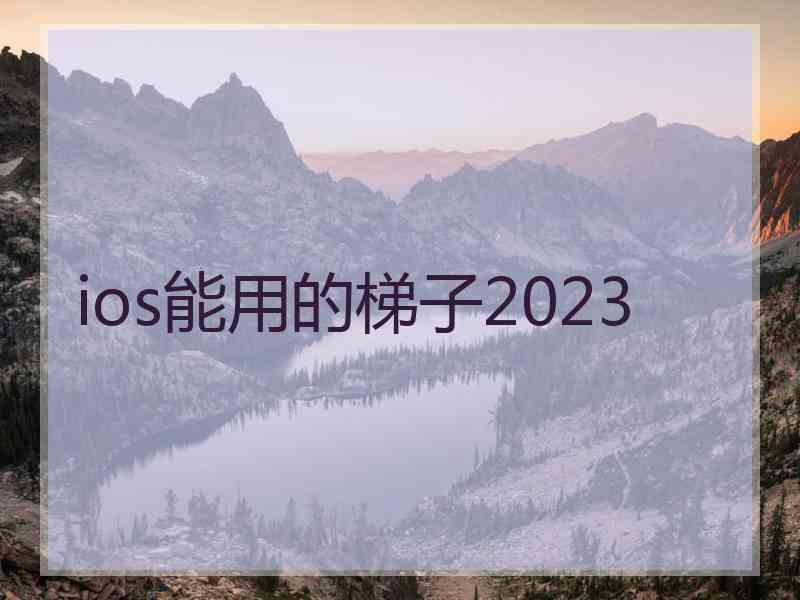 ios能用的梯子2023