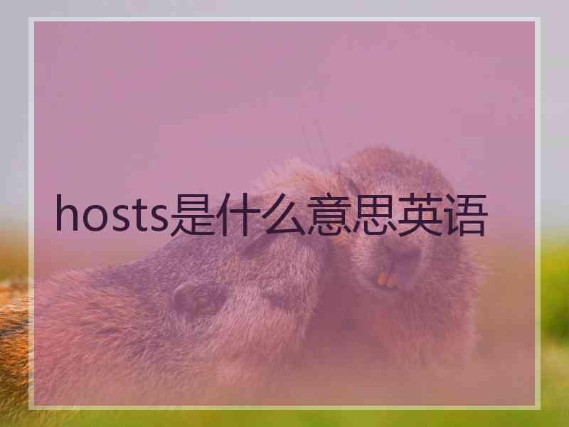 hosts是什么意思英语