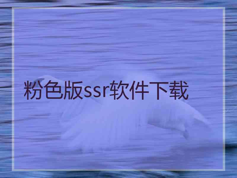 粉色版ssr软件下载