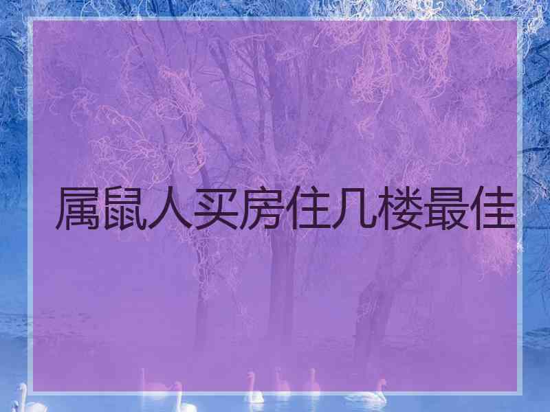 属鼠人买房住几楼最佳