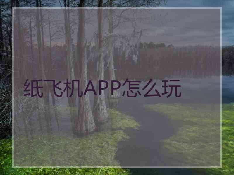 纸飞机APP怎么玩