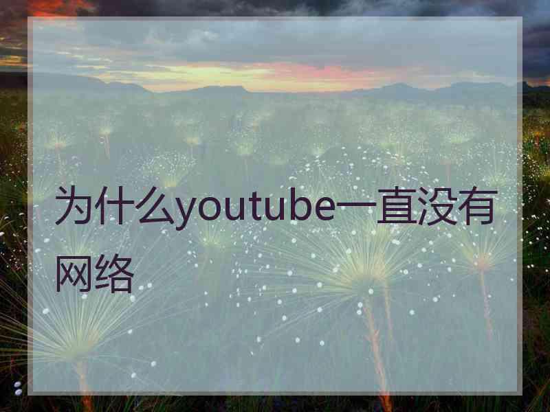 为什么youtube一直没有网络