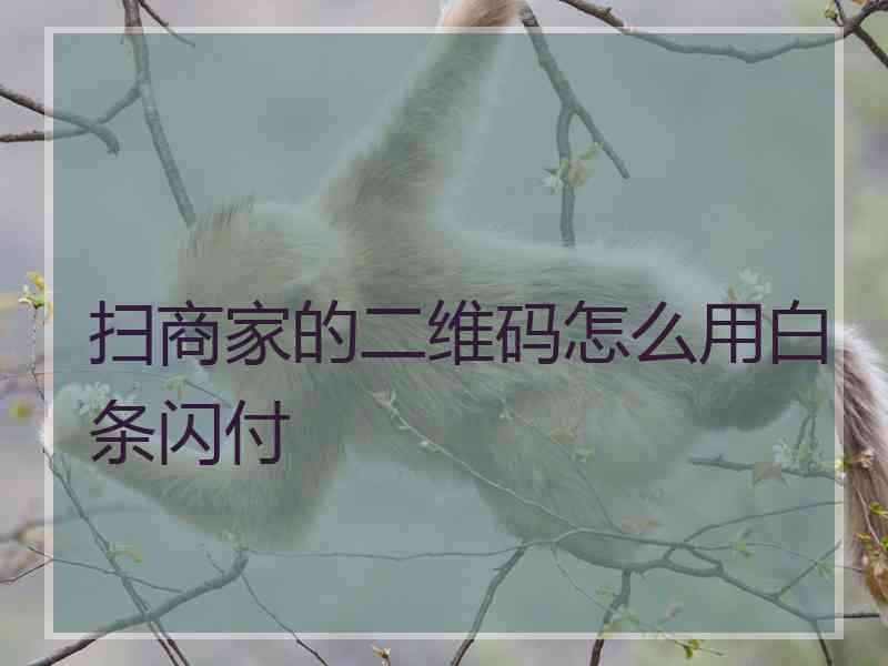 扫商家的二维码怎么用白条闪付