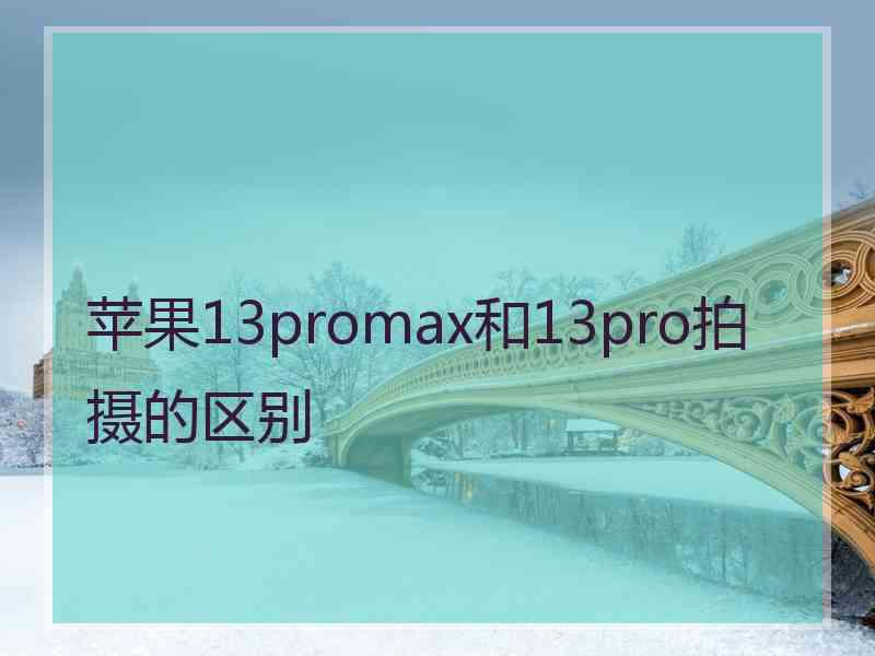 苹果13promax和13pro拍摄的区别