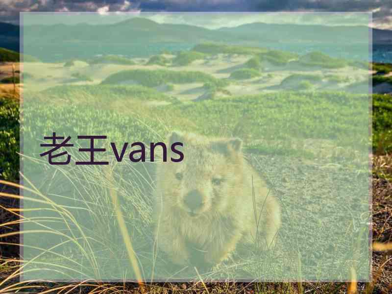 老王vans