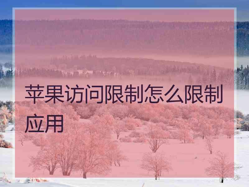 苹果访问限制怎么限制应用