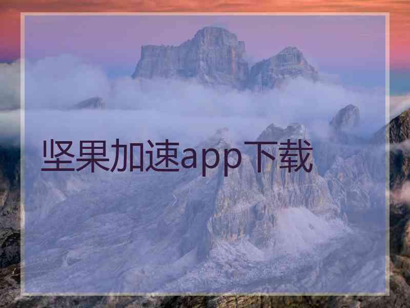 坚果加速app下载