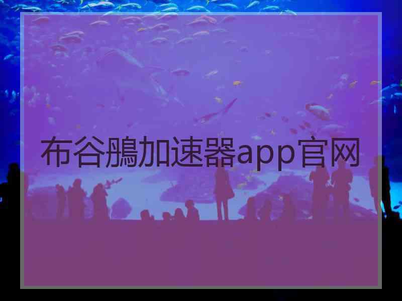 布谷鴅加速器app官网