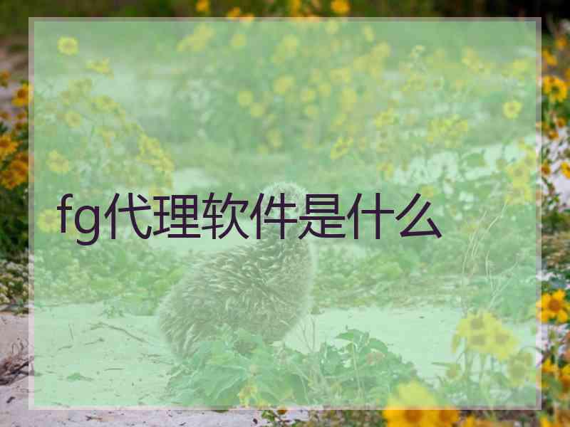 fg代理软件是什么