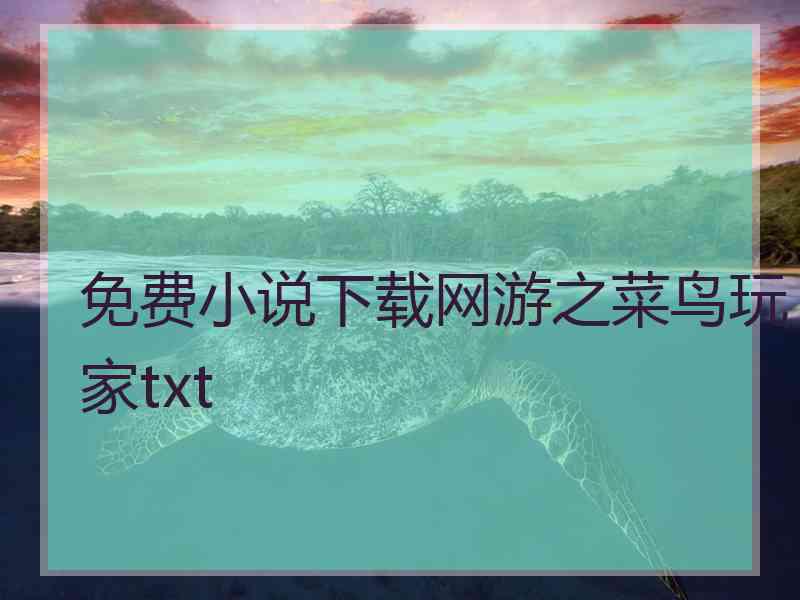 免费小说下载网游之菜鸟玩家txt