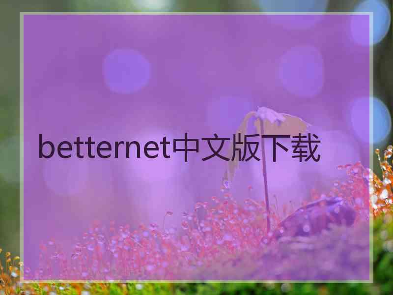 betternet中文版下载