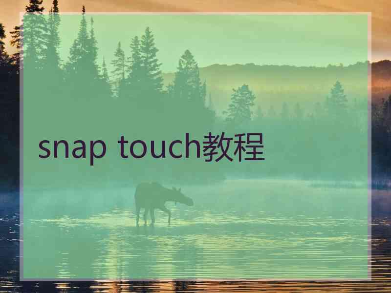 snap touch教程