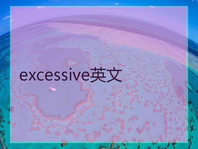 excessive英文