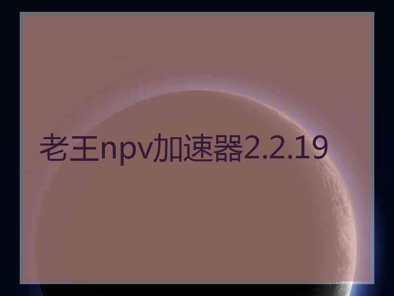 老王npv加速器2.2.19