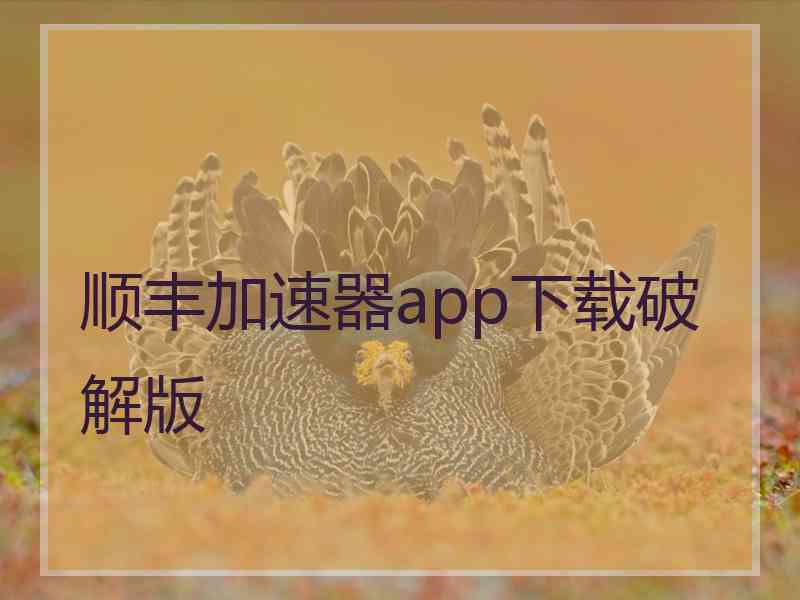 顺丰加速器app下载破解版