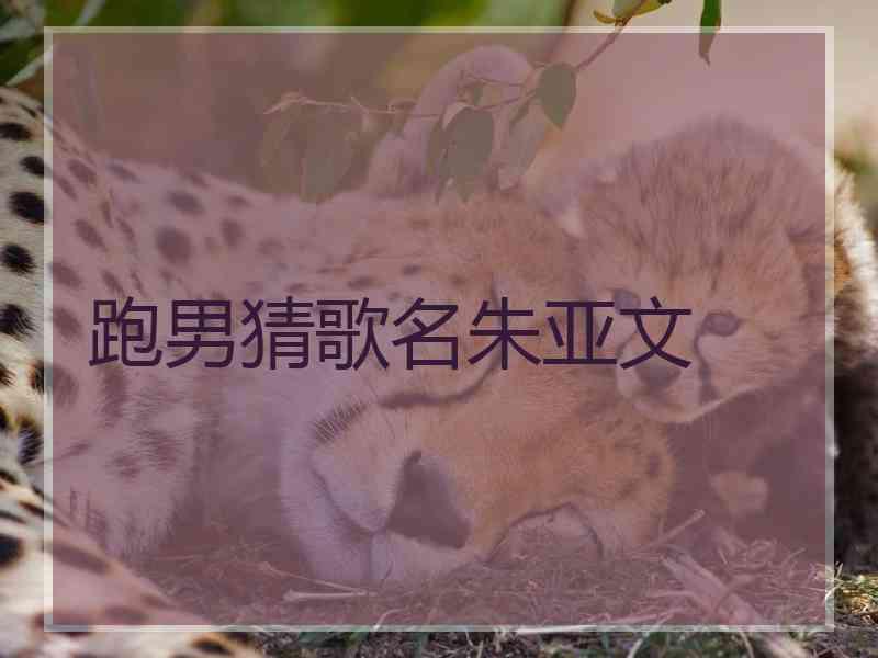 跑男猜歌名朱亚文