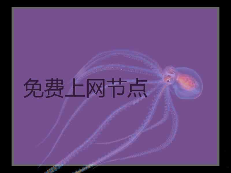 免费上网节点