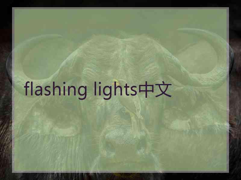 flashing lights中文