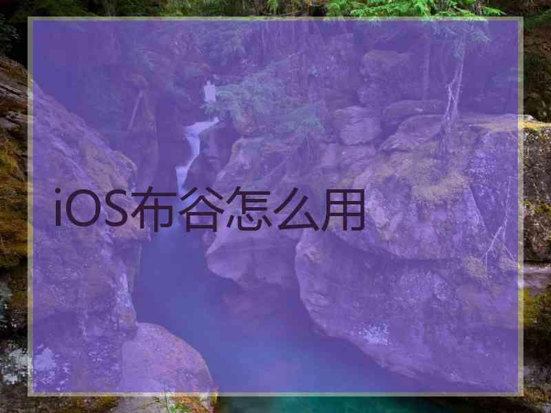 iOS布谷怎么用