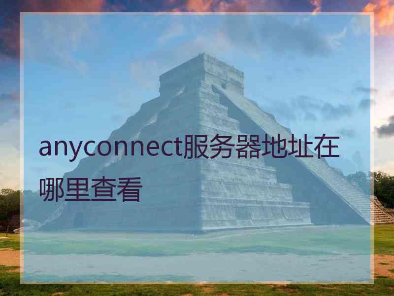 anyconnect服务器地址在哪里查看