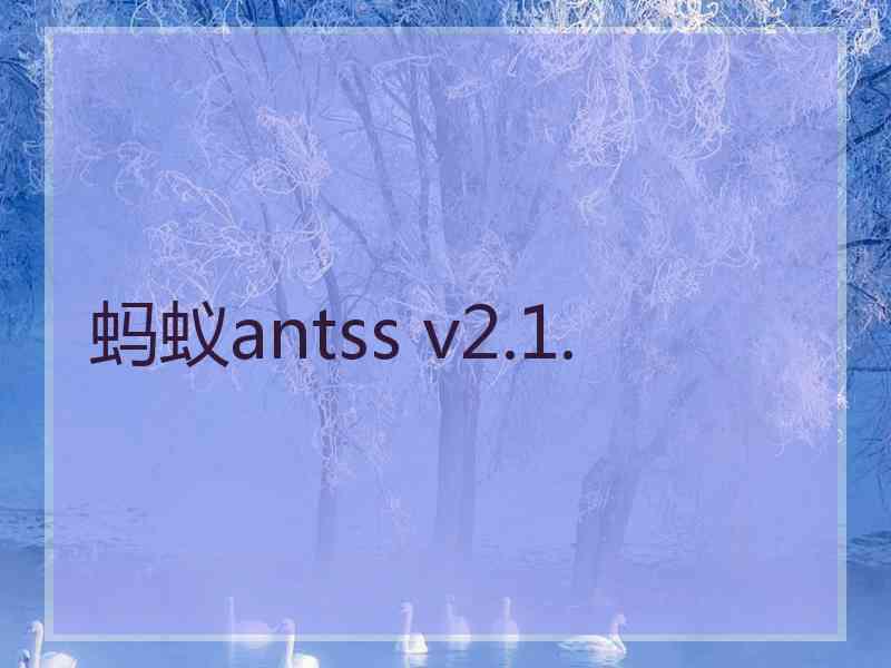 蚂蚁antss v2.1.