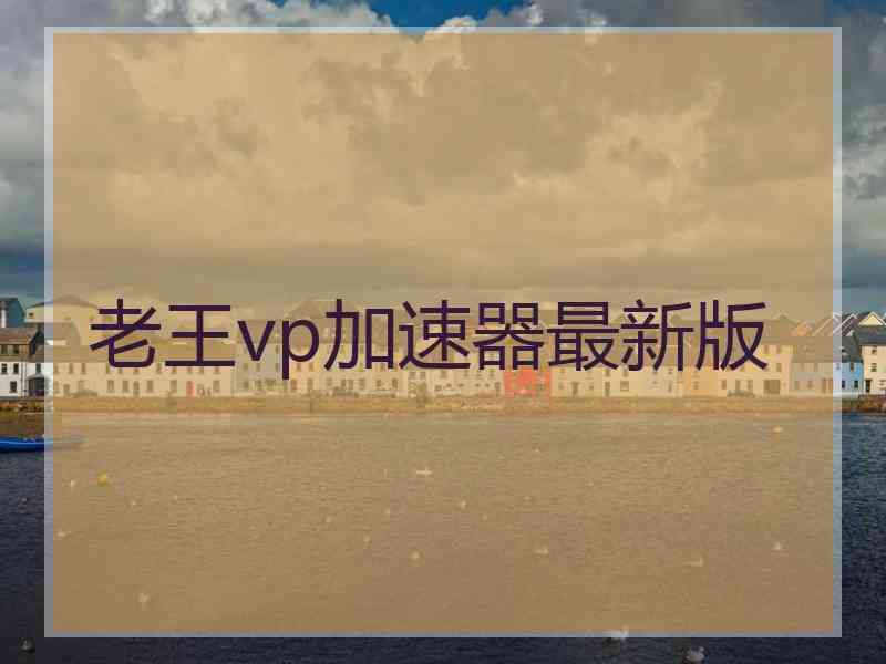 老王vp加速器最新版