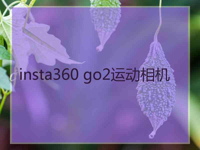 insta360 go2运动相机