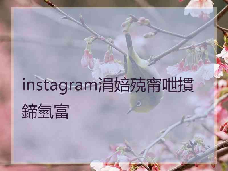 instagram涓婄殑甯呭摜鍗氫富