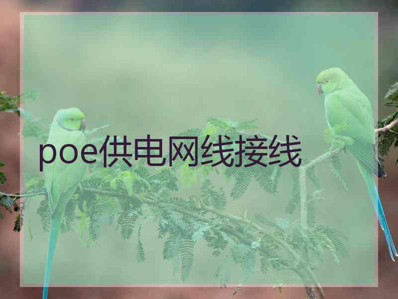 poe供电网线接线