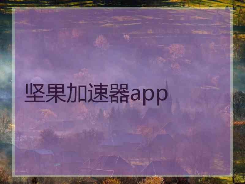 坚果加速器app