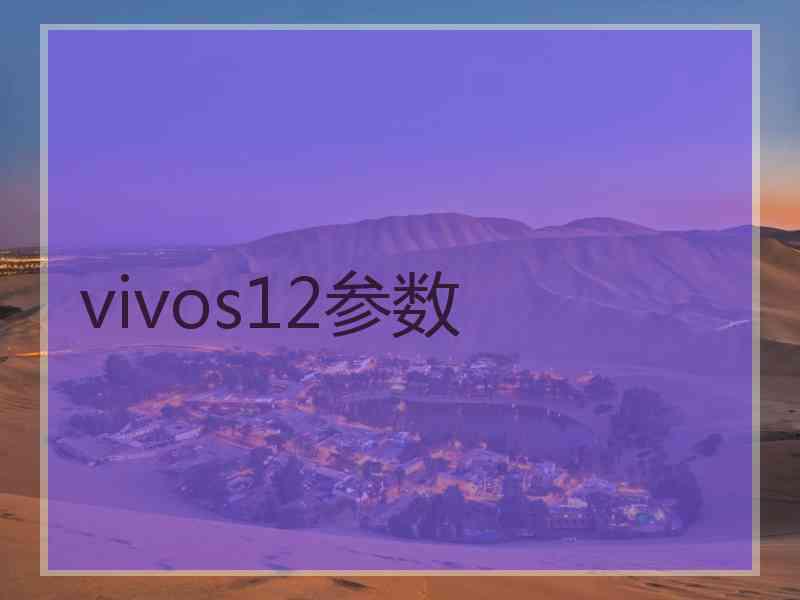 vivos12参数