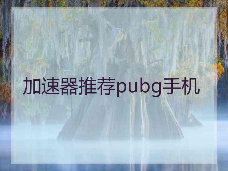 加速器推荐pubg手机