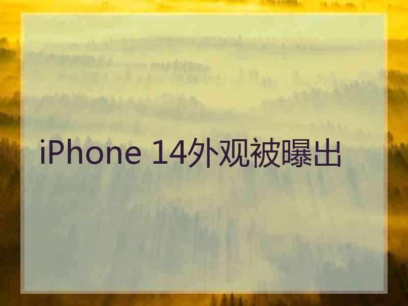 iPhone 14外观被曝出