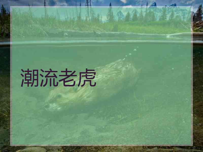 潮流老虎