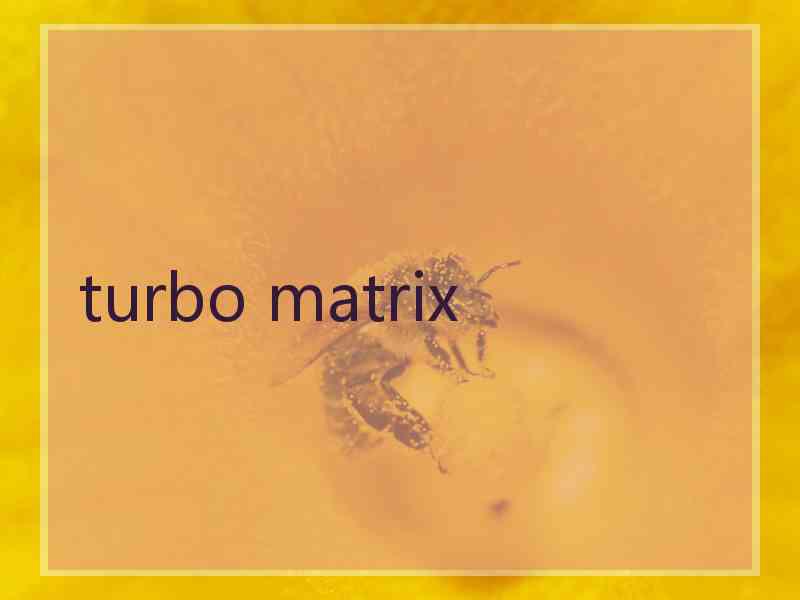 turbo matrix