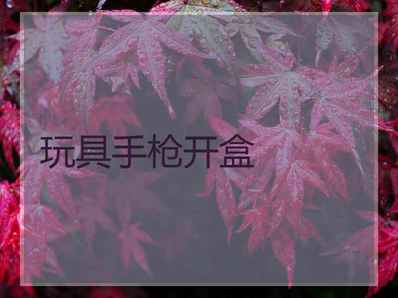 玩具手枪开盒