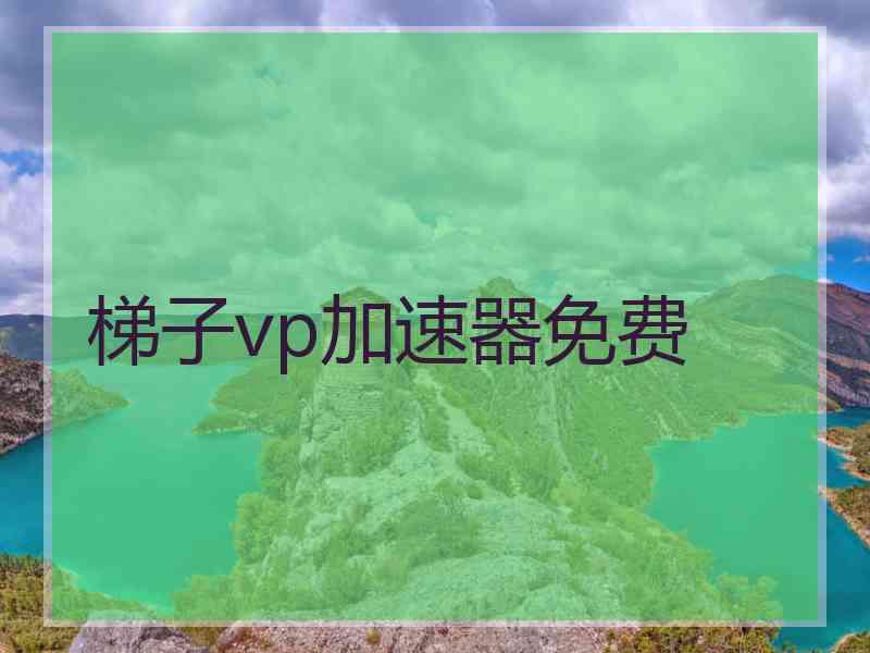 梯子vp加速器免费