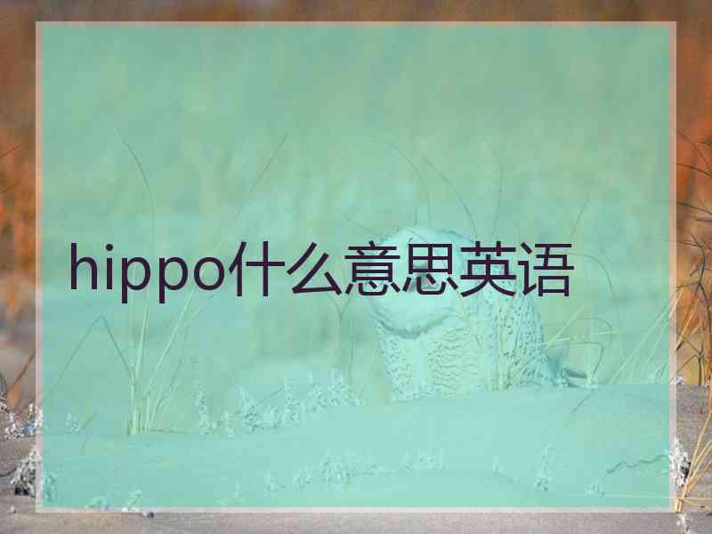 hippo什么意思英语