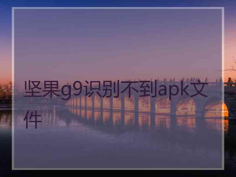 坚果g9识别不到apk文件