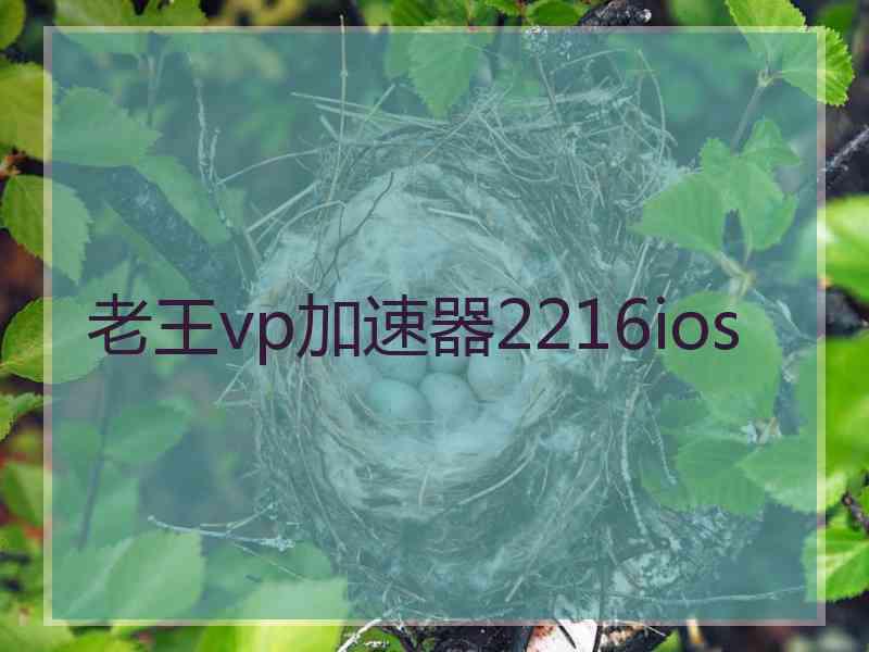 老王vp加速器2216ios