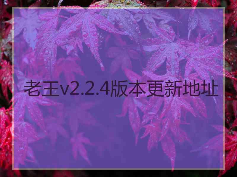 老王v2.2.4版本更新地址