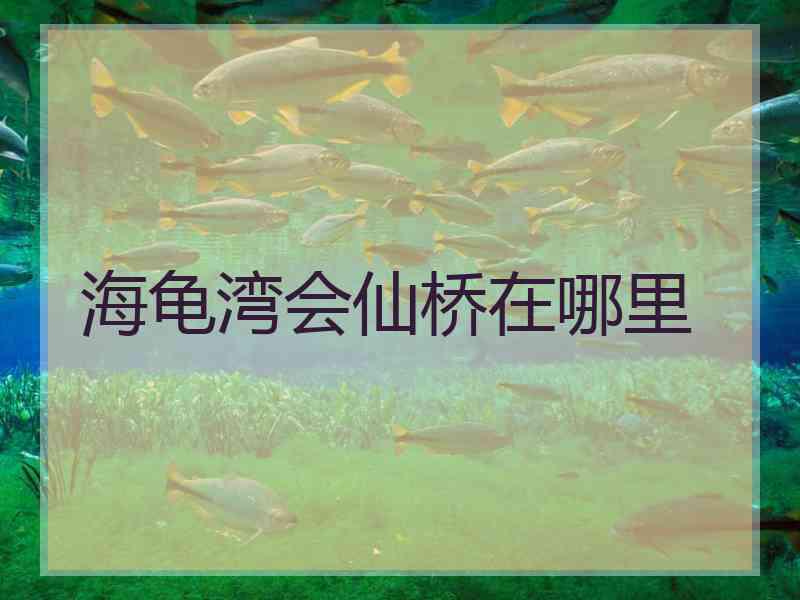 海龟湾会仙桥在哪里