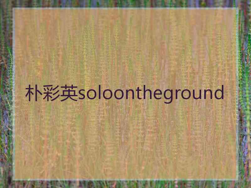 朴彩英soloontheground