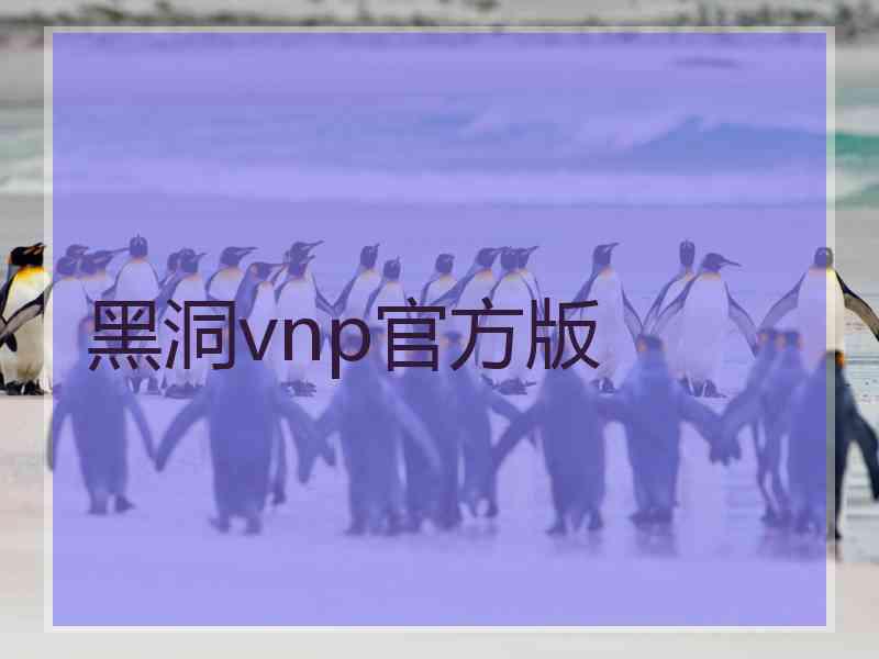 黑洞vnp官方版