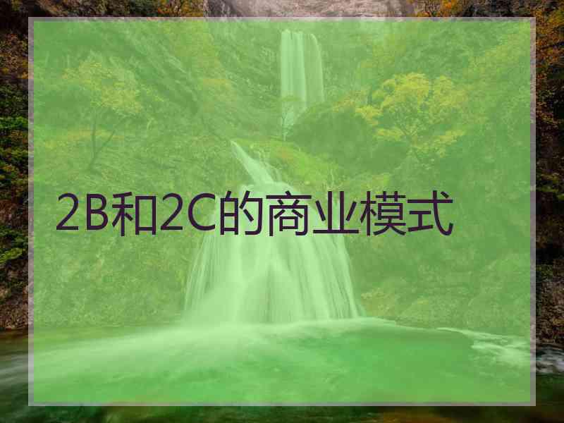 2B和2C的商业模式