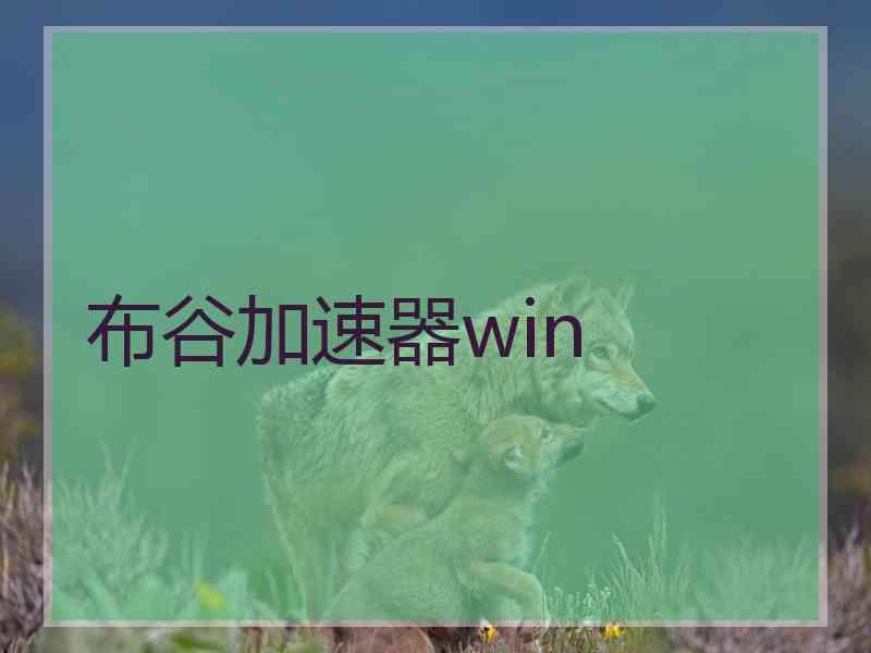 布谷加速器win