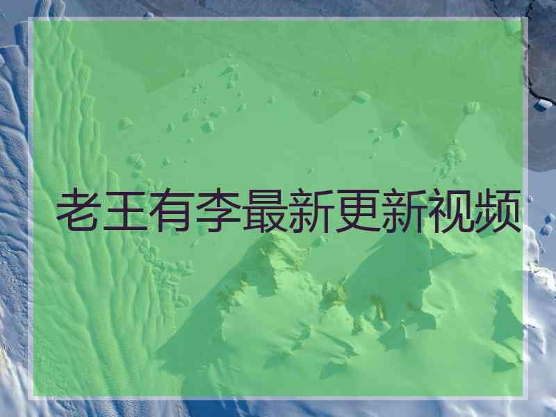 老王有李最新更新视频