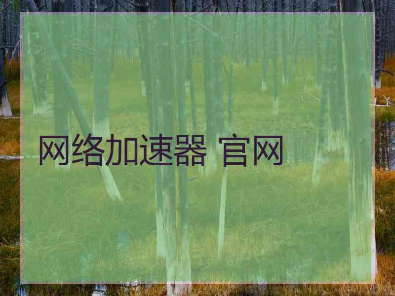 网络加速器 官网